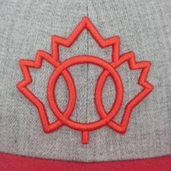 Baseballism Canada Snapback Hat -Baseball Store 10 canada snap 1 3