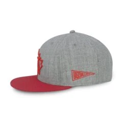 Baseballism Canada Snapback Hat -Baseball Store 10 canada snap 2 2