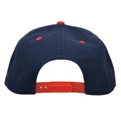 Baseballism Jobu Snapback Cap -Baseball Store 10 snap jobu 4 3