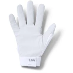 Under Armour UA Clean Up 19 Batting Glove - Adult -Baseball Store 1341970 101 1