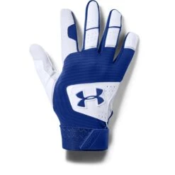 Under Armour UA Clean Up 19 Batting Glove - Youth -Baseball Store 1341971 400