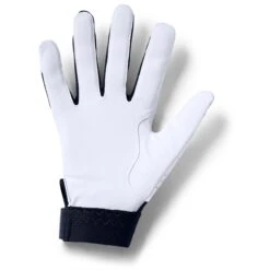 Under Armour UA Clean Up 19 Batting Glove - Youth -Baseball Store 1341971 410 1