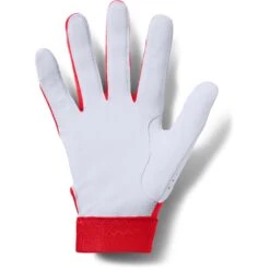 Under Armour UA Clean Up 19 Batting Glove - Youth -Baseball Store 1341971 600 1