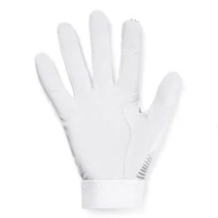 Under Armour Men's Clean Up 21 Batting Gloves -Baseball Store 1365461 101 1 1