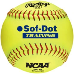 Rawlings FP11S Indoor 11" Training Ball-Dozen