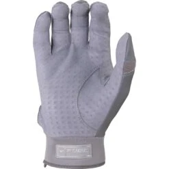 Victus Debut 2.0 Batting Gloves -Baseball Store VBG2 GY front