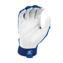 Easton WALKOFF Youth Batting Gloves 14 Easton WALKOFF Youth Batting Gloves -Baseball Store a121806 1