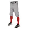 Easton PRO+ KNICKER Ball Pant Youth