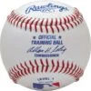 Rawlings ROTB1 Flexi Ball (DOZEN)