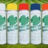 TSI White Line Marking Paint (Case)